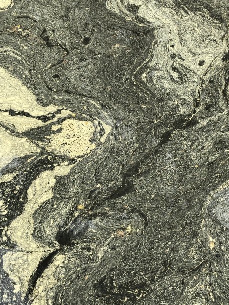 花粉的池塘图片下载