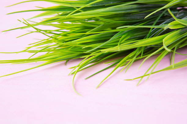 绿色的草在粉红色木制桌子的背景上图片下载