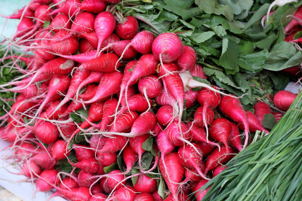 市场上的一串萝卜。图片下载