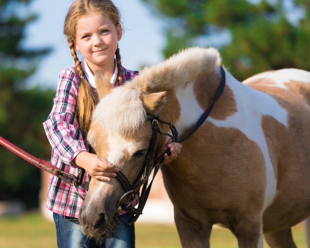 小马。脸的女孩。蓝眼睛。近距离图片下载