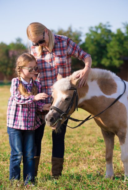 小马。景观图片下载