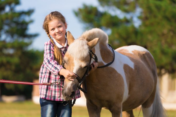 小马。脸的女孩。蓝眼睛。近距离图片下载