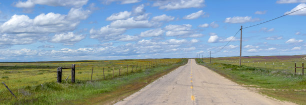 蜿蜒的道路上的牧场景观在加州超级开花2019图片下载