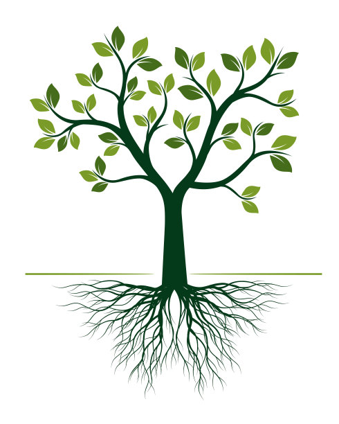 白色背景上有根的绿色树。矢量插图。孤立的对象。图片下载