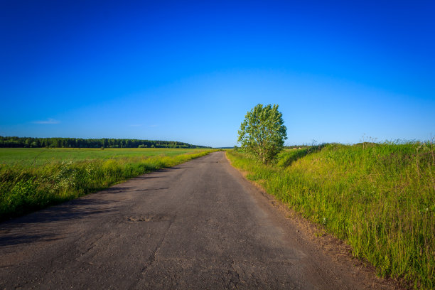 通往田野的路。俄罗斯的开放空间。沥青图片下载