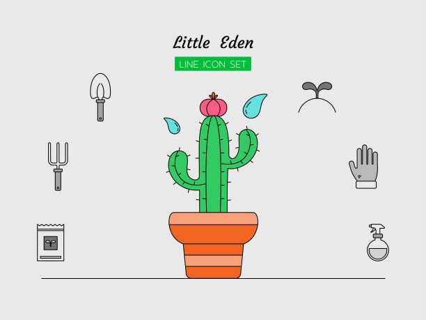 线条图标符号集，种植仙人掌植物的工具概念，肉质，花盆，手套，种子，铲，叉，水喷，芽，孤立的平面轮廓矢量设计图片下载