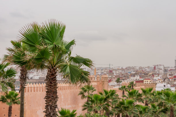 摩洛哥拉巴特的乌达亚斯卡斯巴城外的棕榈树图片下载