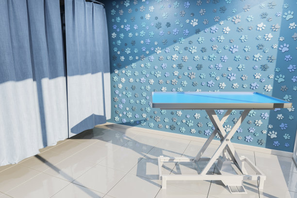 动物医院的房间图片下载