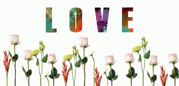 一套鲜花和情书图片下载