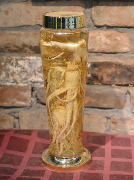 西洋参(西洋参)，古老的东方药物，以瓶装保存的形式展示图片下载