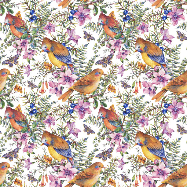 水彩夏季复古花卉森林无缝模式与鸟类，浆果，蛾，蕨类，粉红色的花图片下载