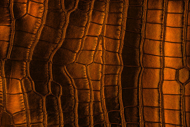 深色背景-棕色鳄鱼皮纹理。图片下载