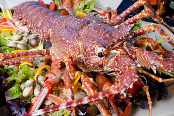 盘子里有活龙虾，还有牡蛎和莴苣图片下载