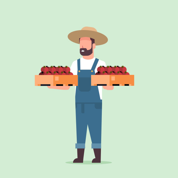 男性农民抱着红熟西红柿的箱子，男性收获蔬菜，农业工人生态农业概念平坦完整素材图片