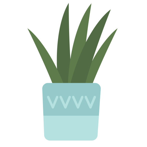 室内植物平面插图上的白色图片下载