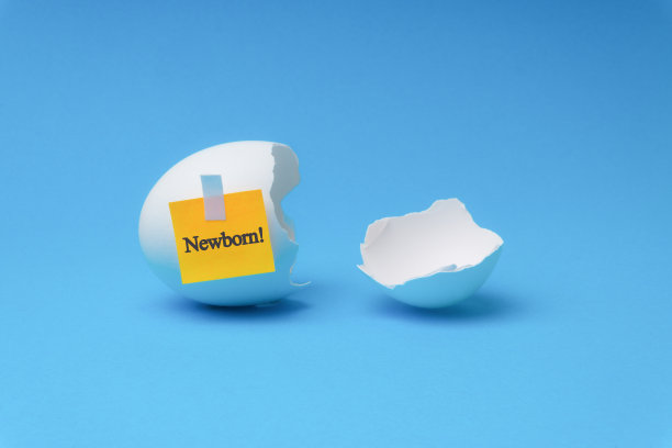 新生的文字写在破蛋壳在蓝色的背景。图片下载
