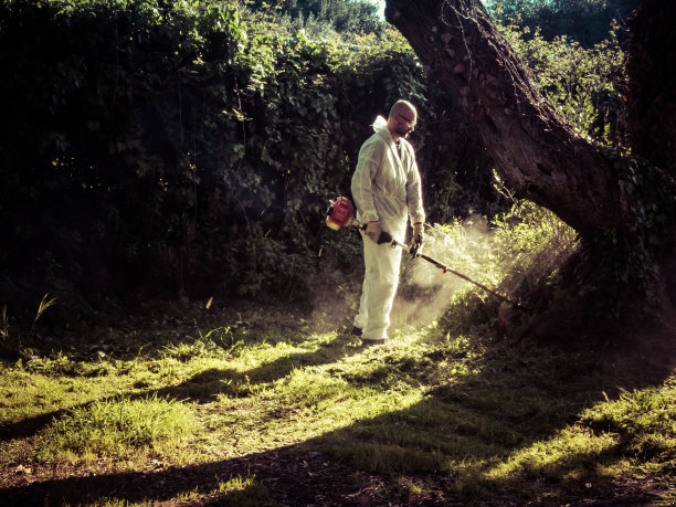 使用剪毛刀的人图片下载