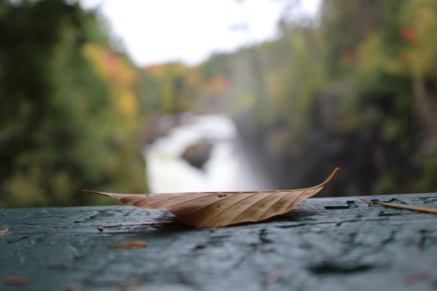 秋季景观图片下载