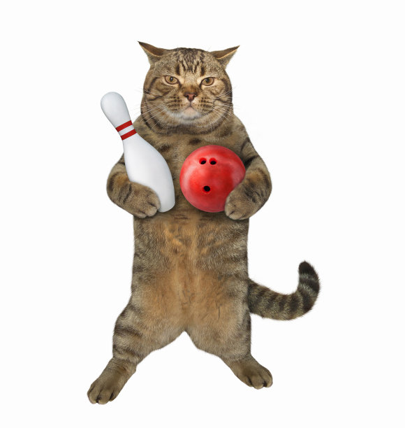 猫拿着一个保龄球和一个大头针图片下载