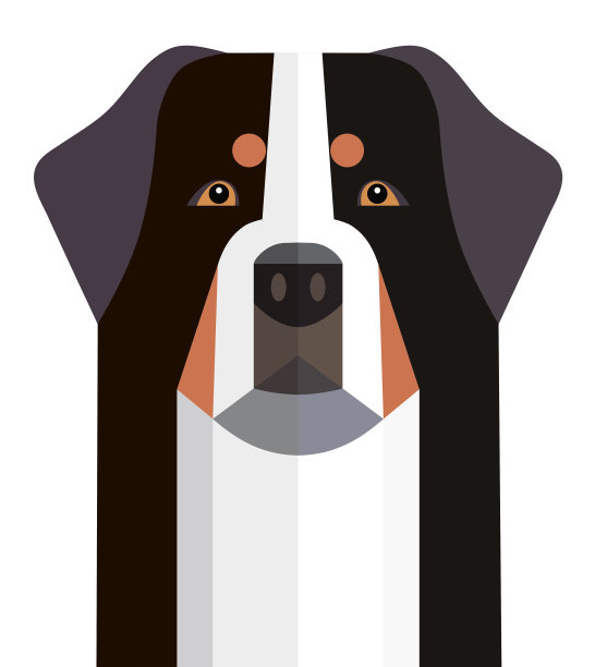 伯恩斯山地犬的首领图片下载