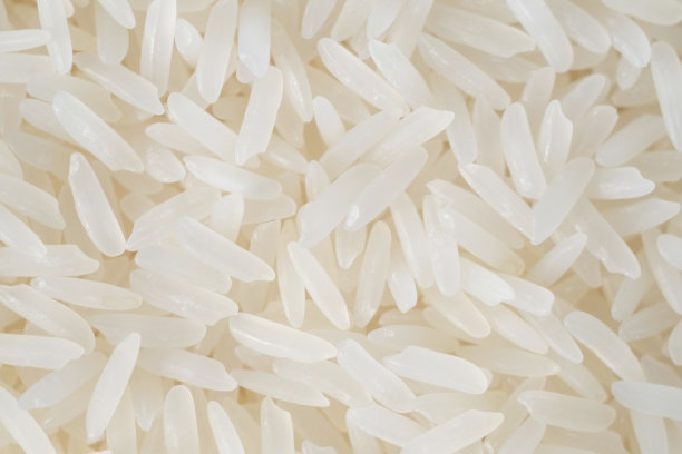 白米种子纹理背景特写视图图片下载