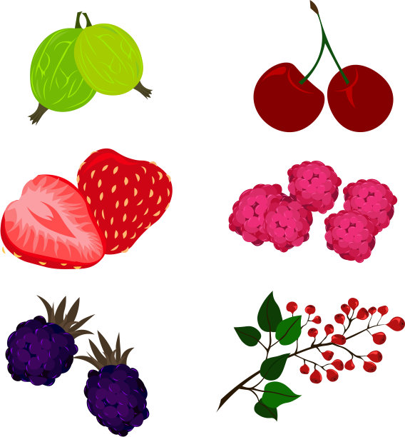 一组向量浆果。图片下载