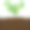 种植栽树和堆肥图片下载