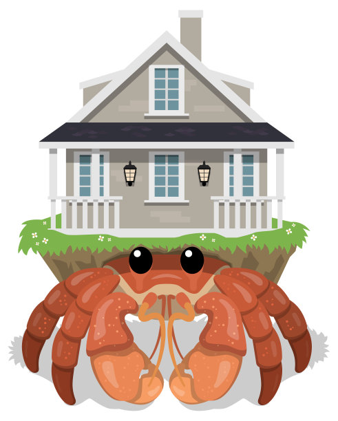 寄居蟹图片下载