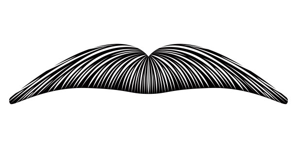 孤立细致的胡子图片下载