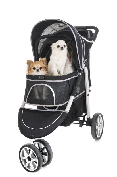 折叠式婴儿车的狗图片下载