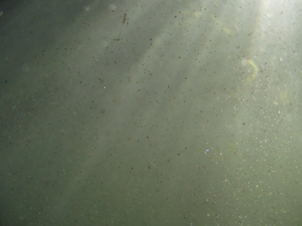 海底世界图片下载