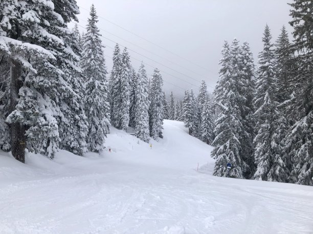 雪小路图片下载