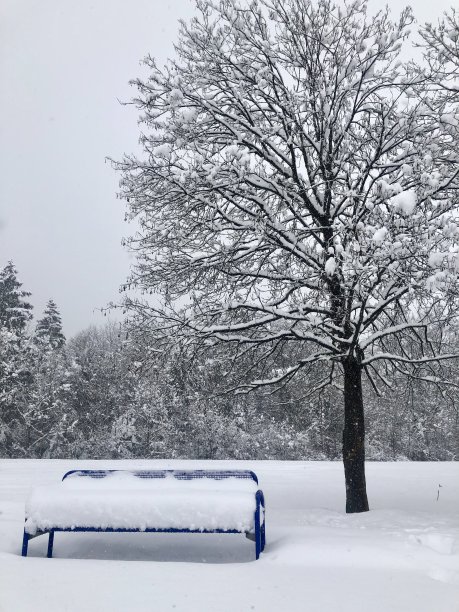 雪的座位图片下载