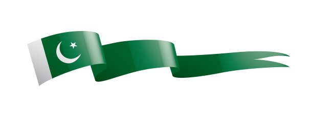 巴基斯坦国旗，矢量插图在白色的背景图片下载