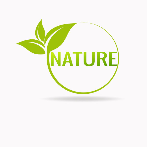 自然，生态有机向量标志。带有叶子的自然标志。图片下载