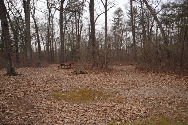 回声从秋天图片下载