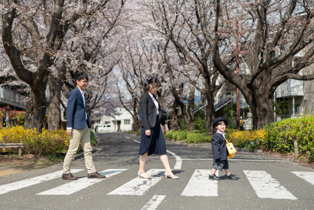 一家人走在樱花盛开的十字路口图片下载