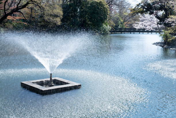 公园里的喷泉图片下载