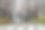 樱花树下的全家福图片下载
