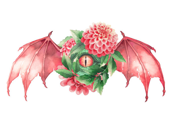 绿色的飞龙眼和打开的假发图片下载