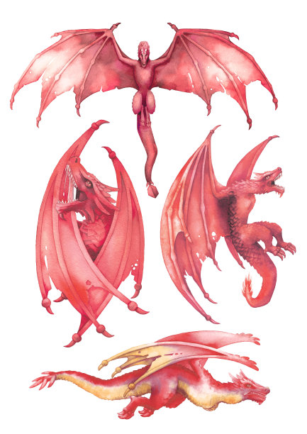 水彩收集龙在不同的姿势。图片下载