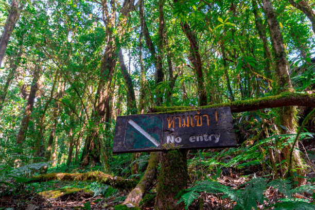一个用英语和泰语写的禁止进入的木制标志位于清迈的常绿森林中间。图片下载