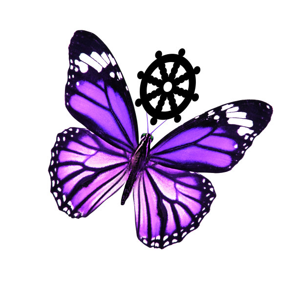 热带紫蝴蝶。在白色背景上隔离图片下载