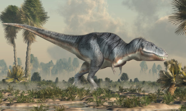 湿地里的雷克斯霸王龙图片下载