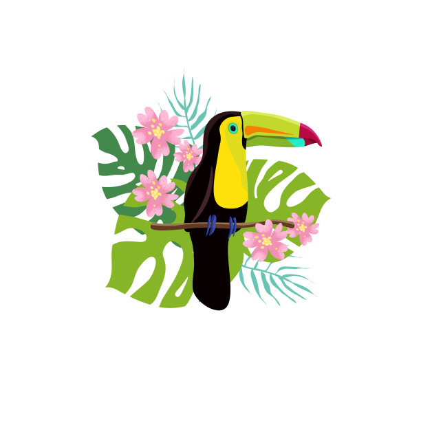 可爱明亮的鸟巨嘴鸟纹理的背景与热带树叶和花朵。适用于卡片、横幅、问候语模板。图片下载