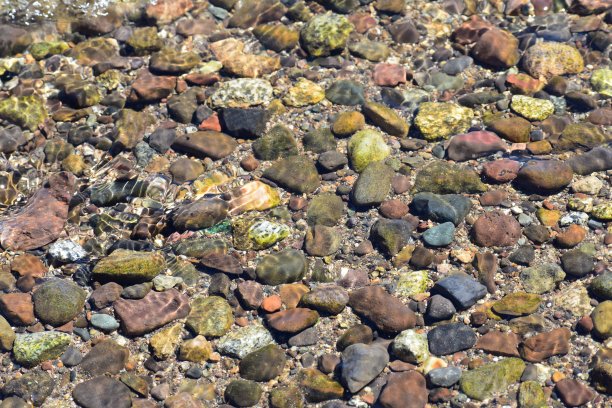 岩石在水里图片下载