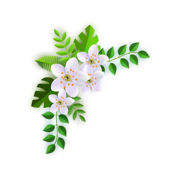 向量春天白花与叶图案图片下载