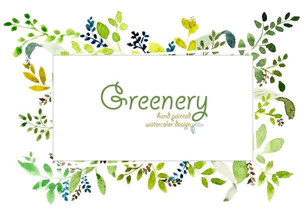 水彩手绘草木设计。图片下载