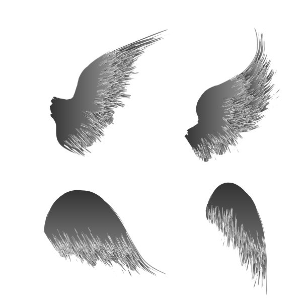 四个黑色的翅膀图片下载