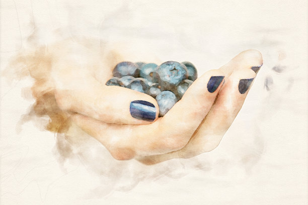 女人的手满是水彩画蓝莓的特写图片下载